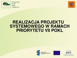 REALIZACJA PROJEKTU SYSTEMOWEGO W RAMACH PRIORYTETU VII POKL