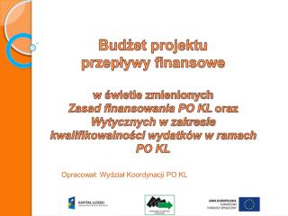 Budżet projektu przepływy finansowe