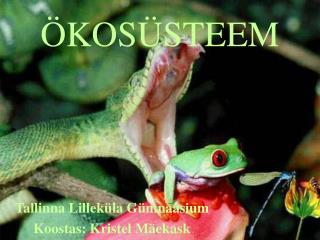 ÖKOSÜSTEEM