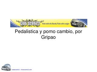 Pedalistica y pomo cambio, por Gripao