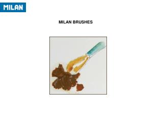 MILAN BRUSHES