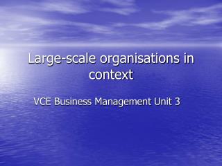 Large-scale organisations in context