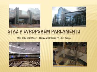 Stáž v Evropském parlamentu