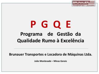 P G Q E Programa de Gestão da Qualidade Rumo à Excelência