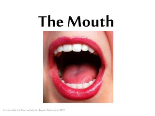 The Mouth