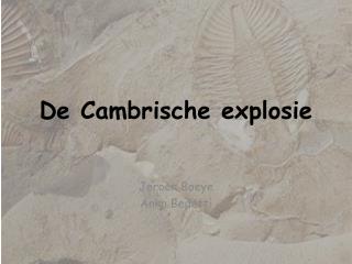 De Cambrische explosie