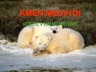 KMEN MEDVĚDI