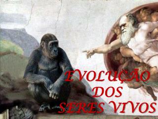 EVOLUÇÃO DOS SERES VIVOS