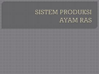 SISTEM PRODUKSI AYAM RAS