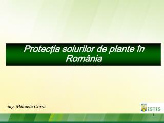 Protecţia soiurilor de plante în România