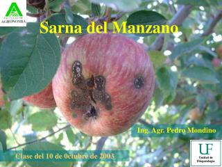 Sarna del Manzano