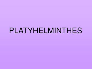 PLATYHELMINTHES