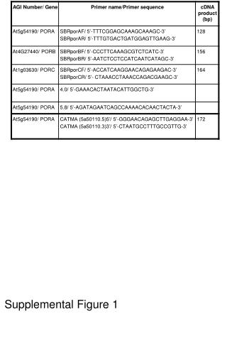 Supplemental Figure 1