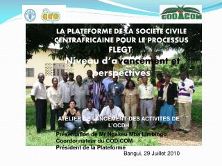 Bangui, 29 Juillet 2010