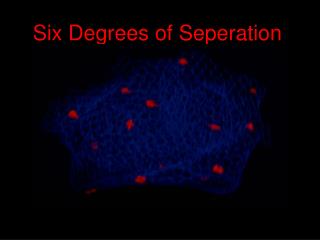 Six Degrees of Seperation