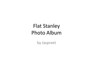 Flat Stanley Photo Album