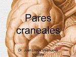 Pares craneales