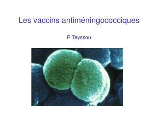 Les vaccins antiméningococciques R Teyssou