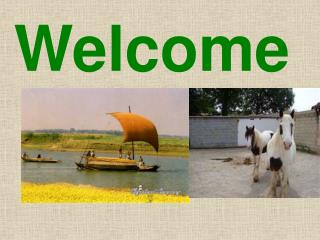 Welcome