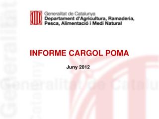 INFORME CARGOL POMA