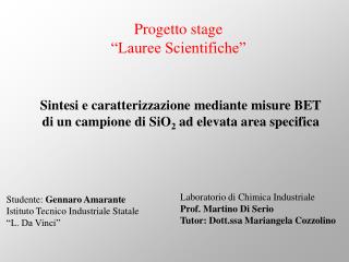 Sintesi e caratterizzazione mediante misure BET di un campione di SiO 2 ad elevata area specifica