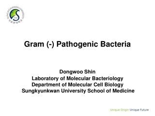 Gram (-) Pathogenic Bacteria