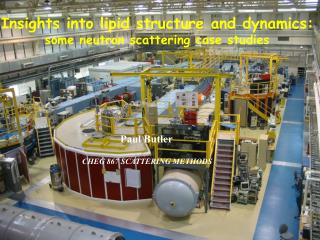 Insights into lipid structure and dynamics: some neutron scattering case studies