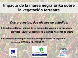 Impacto de la marea negra Erika sobre la vegetaci Ó n terrestre