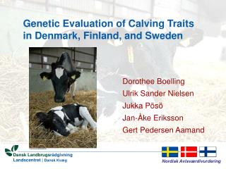 Genetic Evaluation of Calving Traits in Denmark, Finland, and Sweden