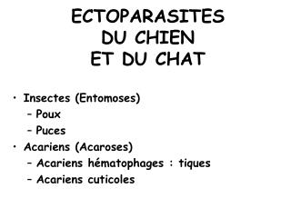 ECTOPARASITES DU CHIEN ET DU CHAT