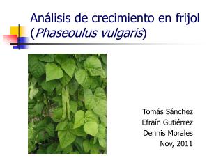 An álisis de crecimiento en frijol ( Phaseoulus vulgaris )