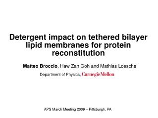 Detergent impact on tethered bilayer lipid membranes for protein reconstitution