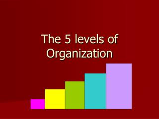 The 5 levels of Organization