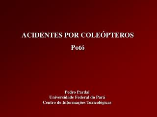 ACIDENTES POR COLEÓPTEROS Potó