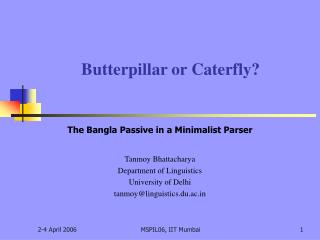 Butterpillar or Caterfly?