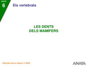 A diferència dels rèptils, que tenen totes les dents d’un mateix tipus…