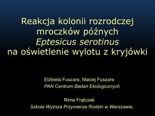 Re akcja kolonii rozrodczej mroczków późnych Eptesicus serotinus na oświetlenie wylotu z kryjówki
