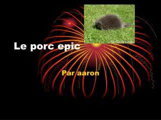 Le porc epic