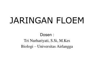 JARINGAN FLOEM