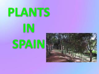 PLANTS IN SPAIN