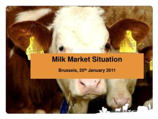 Milk Market Situation Brussels, 20 th January 2011