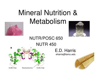 Mineral Nutrition &amp; Metabolism
