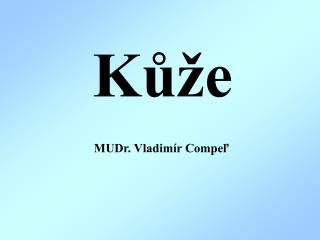 Kůže