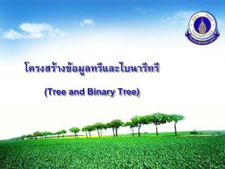 โครงสร้างข้อมูลทรีและไบนารีทรี (Tree and Binary Tree)