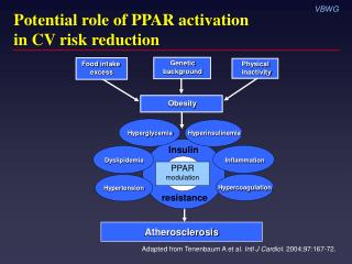 Potential role of PPAR activation in CV risk reduction