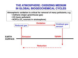 THE ATMOSPHERE: OXIDIZING MEDIUM IN GLOBAL BIOGEOCHEMICAL CYCLES