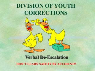 DIVISION OF YOUTH CORRECTIONS