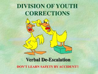 DIVISION OF YOUTH CORRECTIONS