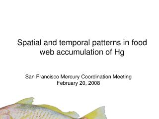 Spatial and temporal patterns in food web accumulation of Hg