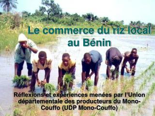 Le commerce du riz local au Bénin